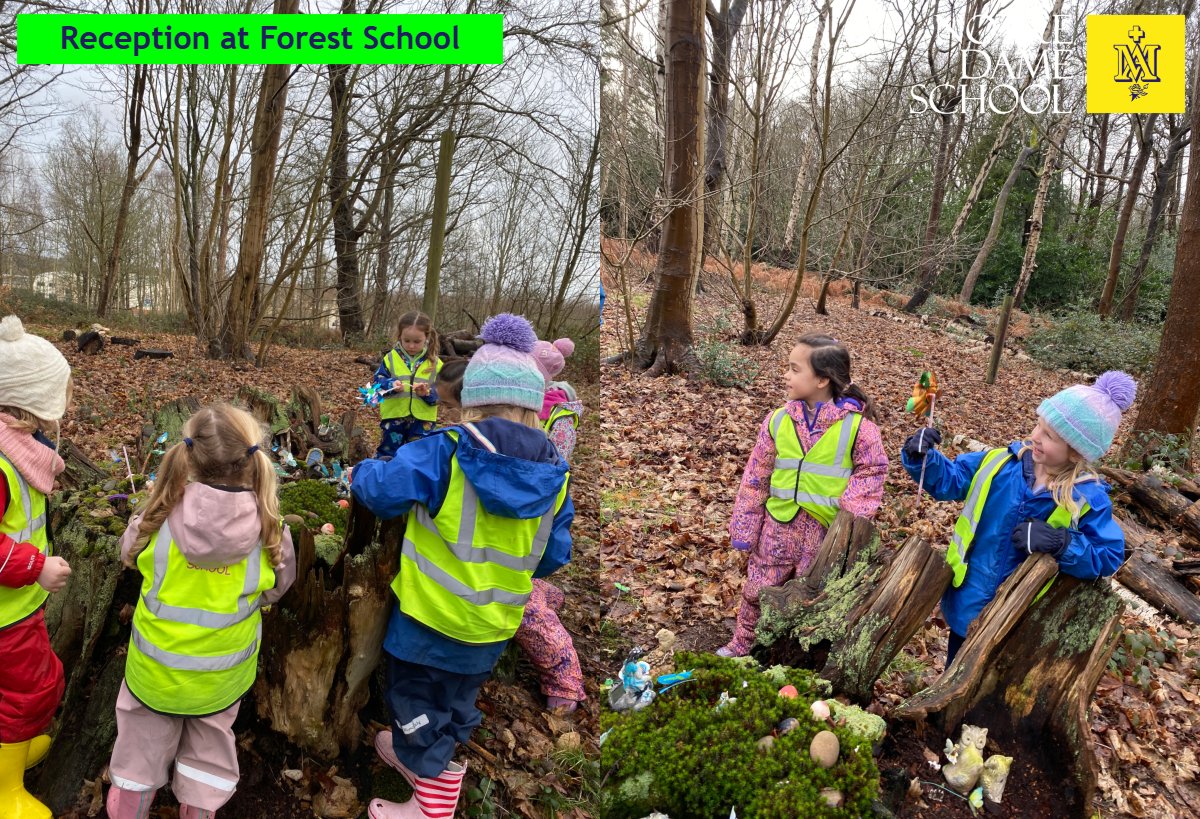 Reception Forest School Jan 27