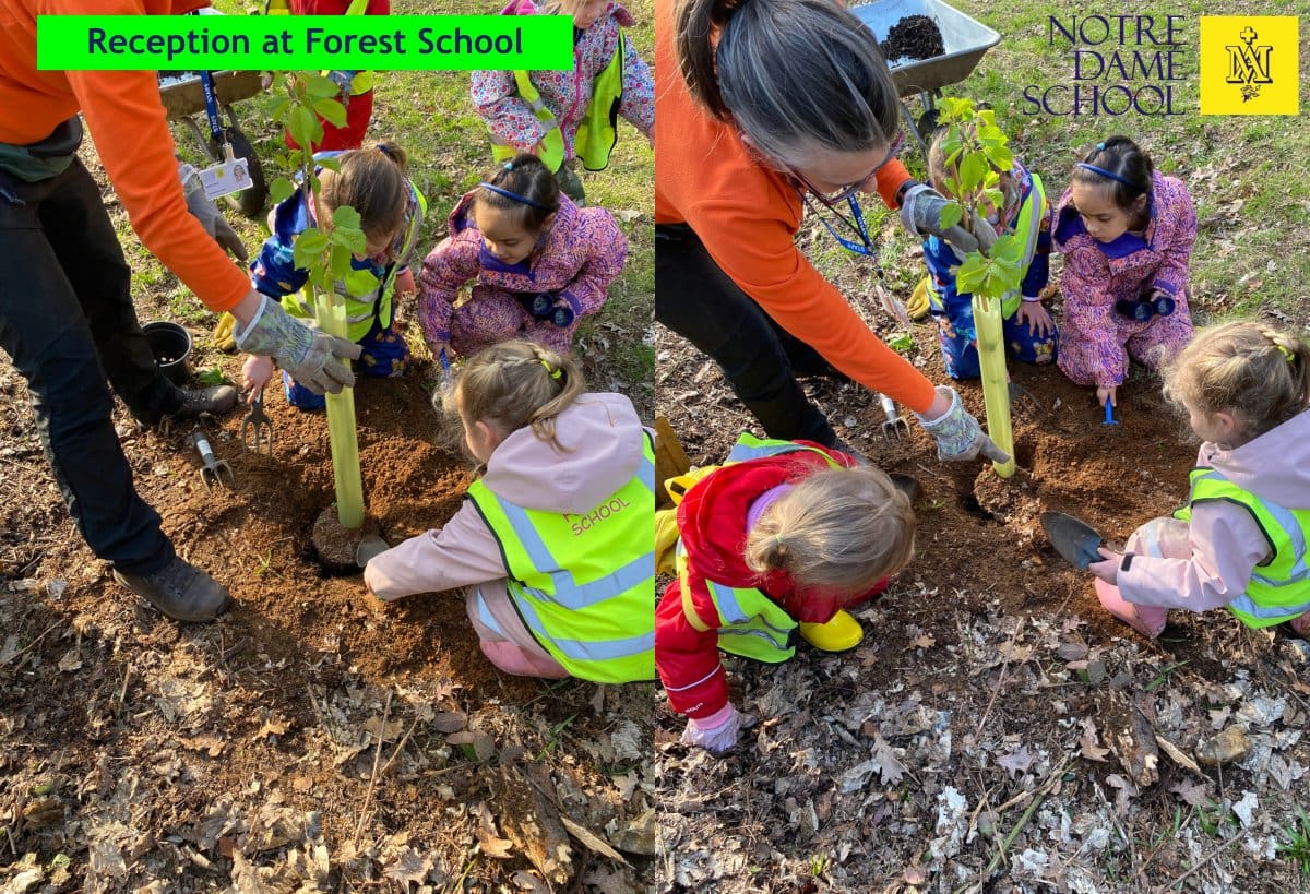 Reception Forest School March 3