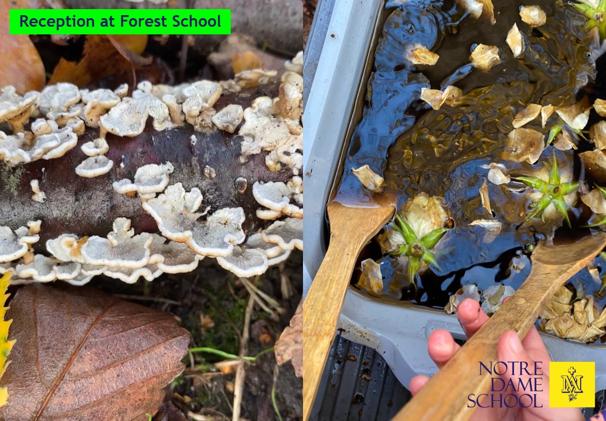 Reception at Forest School Dec 2