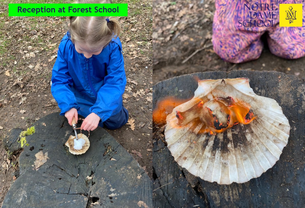 Reception at Forest School Feb 10