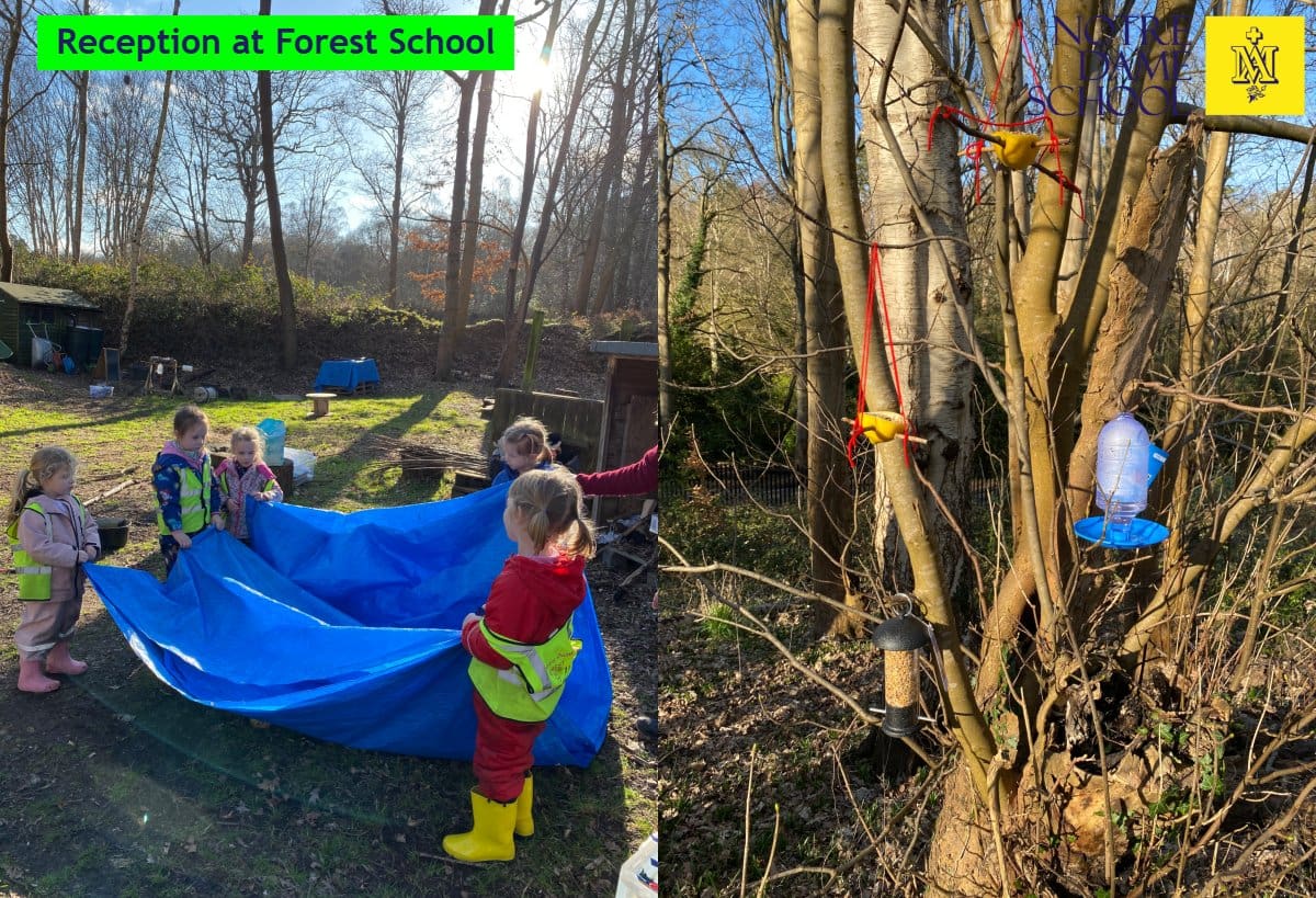 Reception at Forest School Feb 24