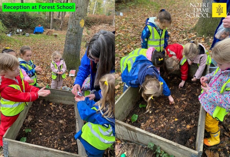 Reception Forest SChool