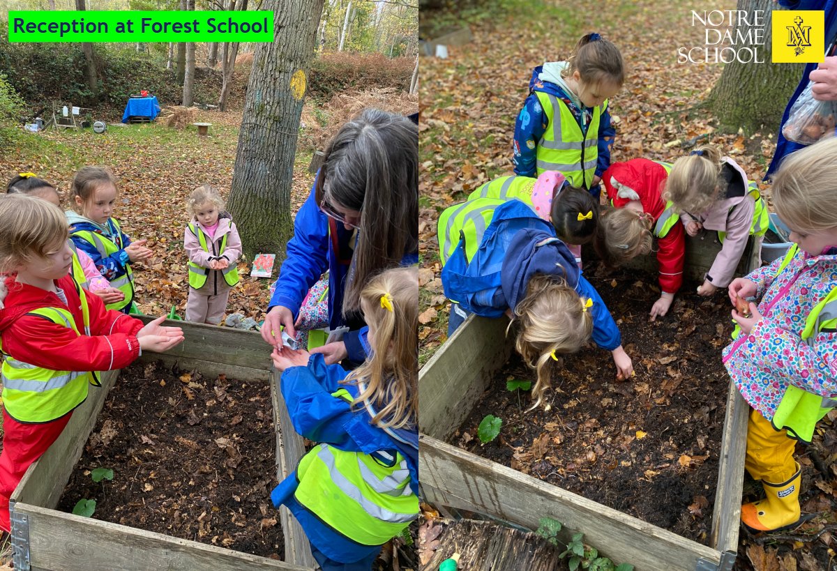 Reception Forest SChool