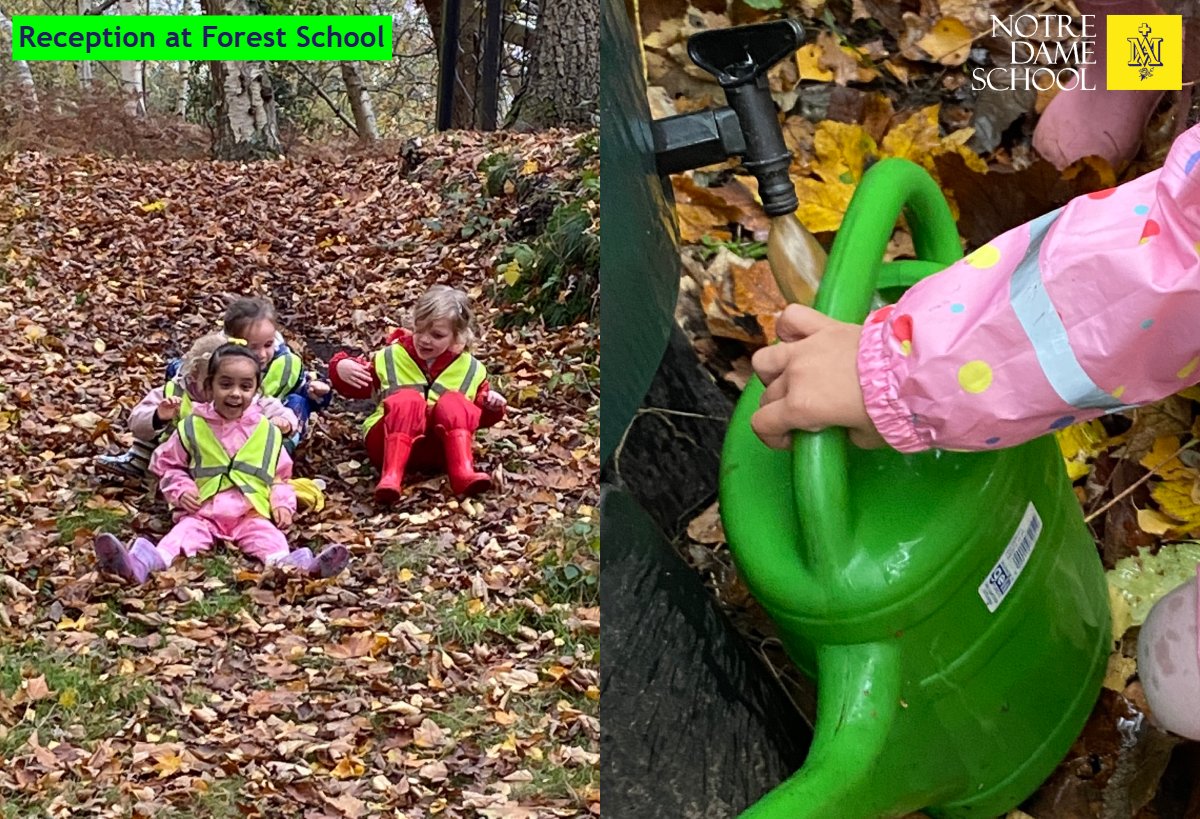 Reception at Forest School Nov 11