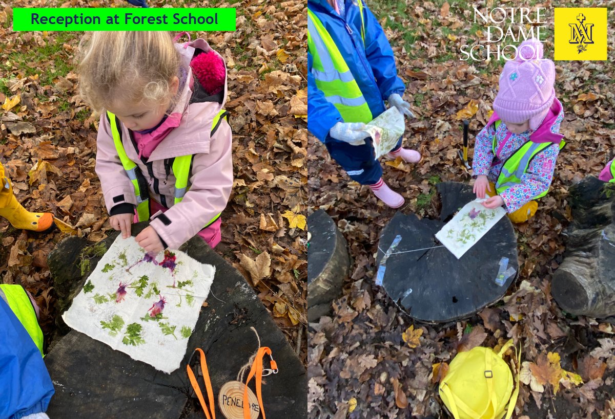 Reception at Forest School Nov 18