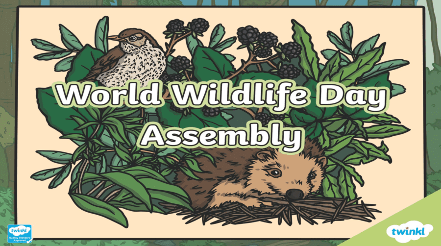 Infant Assembly - World Wildlife Day