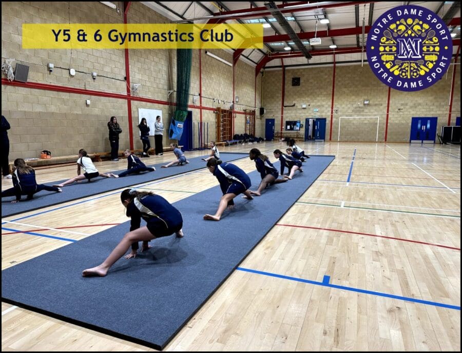 Y5 and 6 Gymnastics Club