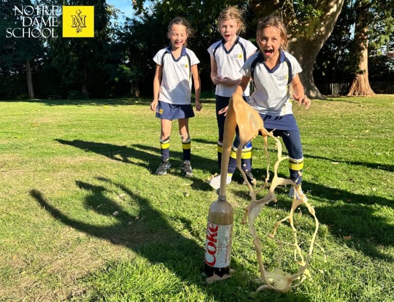 Year 4 STEM