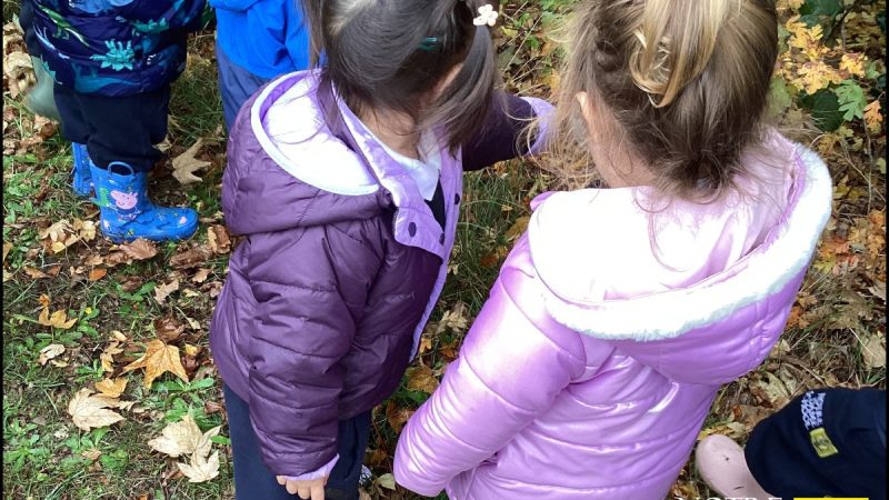 Caterpillars News Oct 17