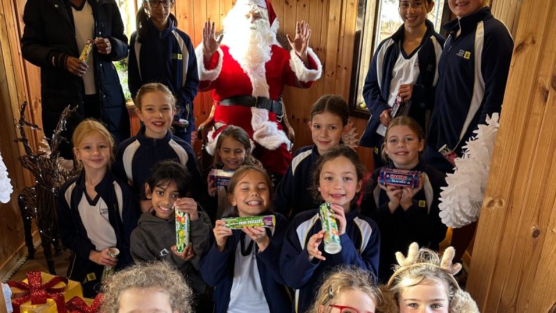 Father Christmas in the Tree House