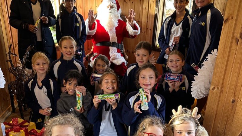 Father Christmas in the Tree House