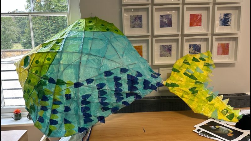 Fish Project