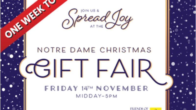 FoND Christmas Gift Fair - 1 week to go FBOOK
