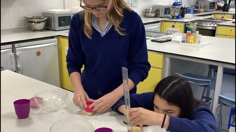 Food - Year 10 - Fats