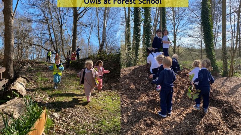 Forest School - Owls April 1st