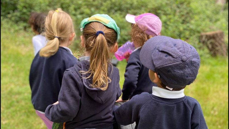 Forest School - Owls June 2
