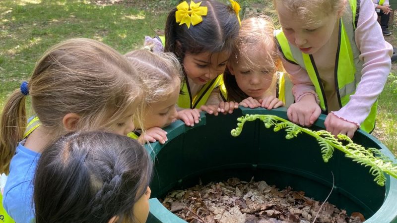 Forest School - Reception June 20
