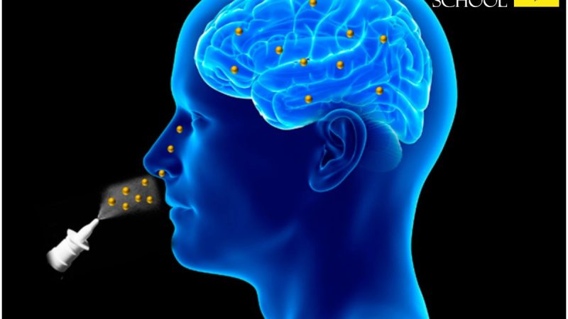 Science Corner - Groundbreaking Nasal Drop Therapy Targets Brain Cancer