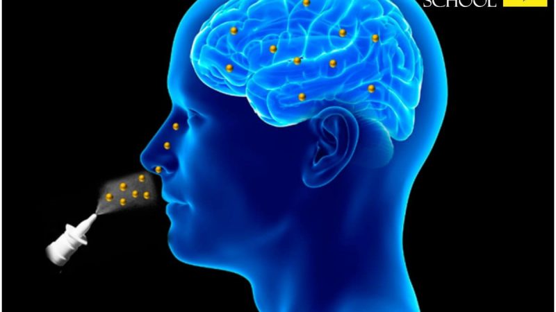 Science Corner - Groundbreaking Nasal Drop Therapy Targets Brain Cancer