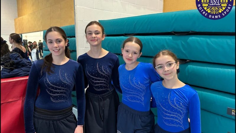 Gymnastics competition at Tormead