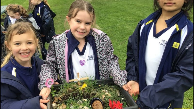 Infant Easter Gardens