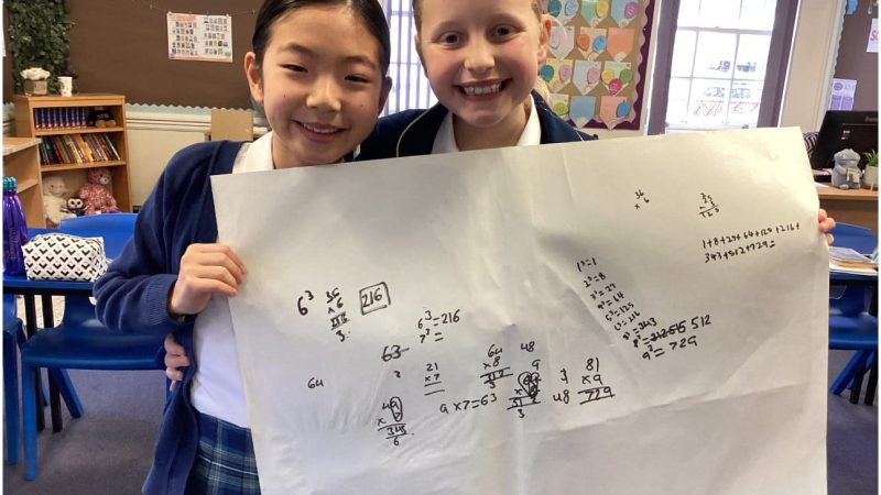 Maths Ambassadors - Number 2025