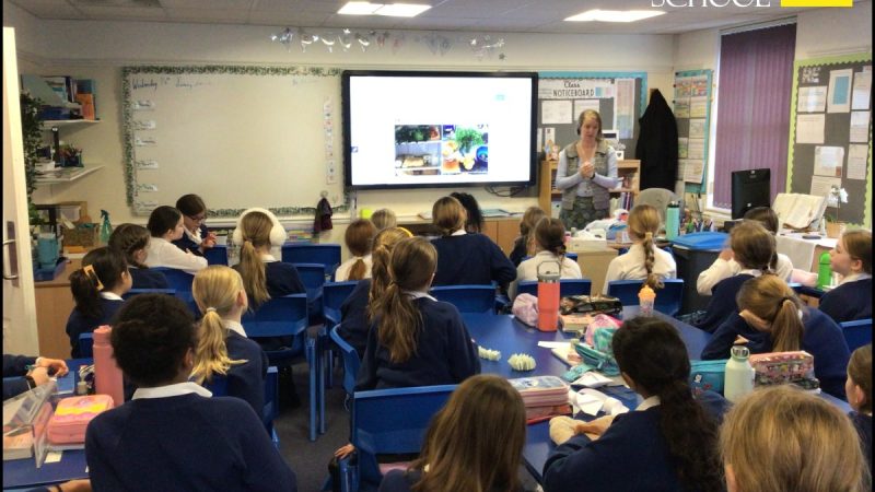 Mrs Shaw - Y5 Humanities - Plastic Free Project Talk