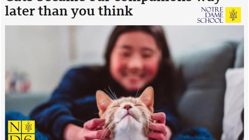 ND6 Posts - Science Corner - Cats