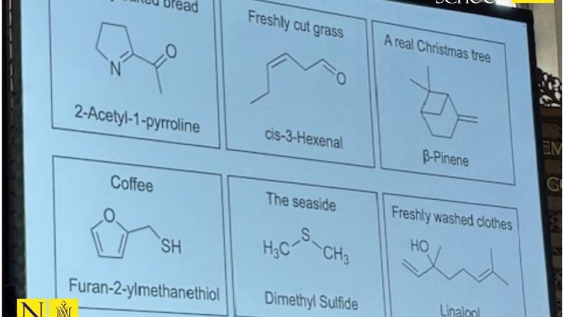 ND6 Posts - Science Corner - Chemistry Lecture