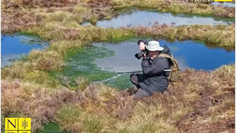 Science Corner - Restoring Peatlands