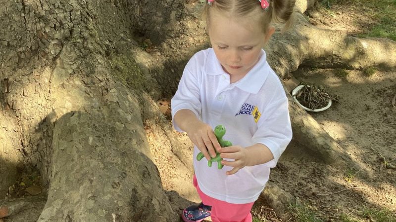 NDEY - Caterpillars News June 3rd