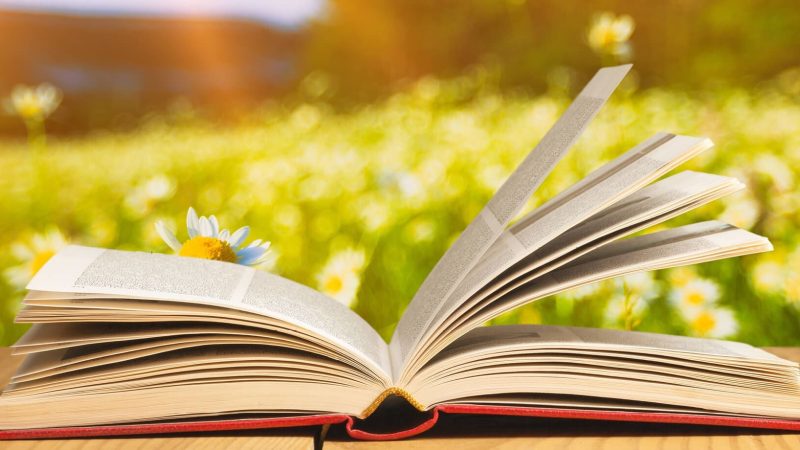 Notre-Dame-News-Summer-Reading