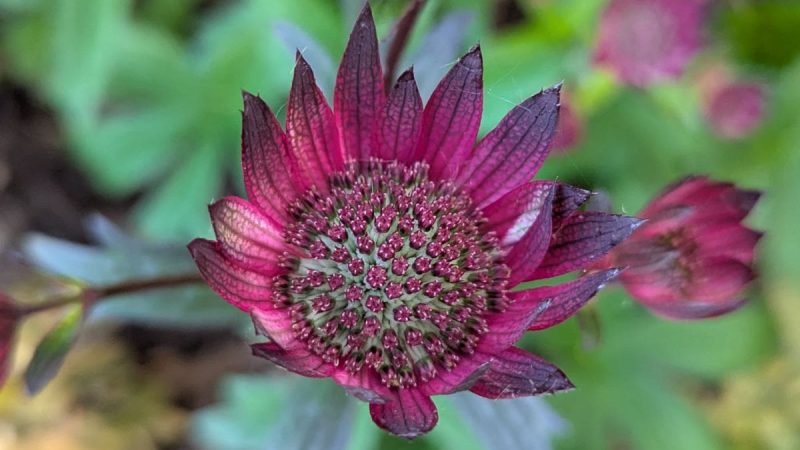 Our Great Outdoors June 6 (4)