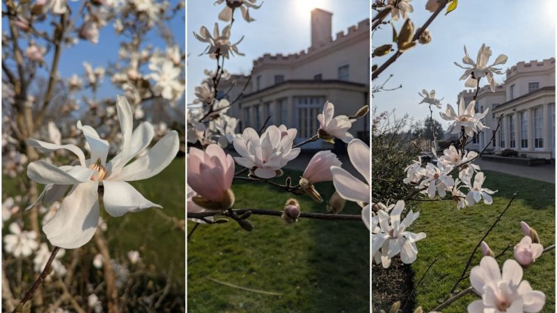 Our Great Outdoors March 28