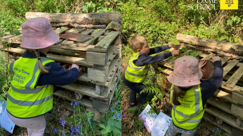 Owls Forest School April 27 (2)