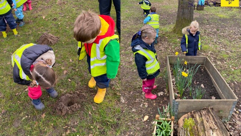 Owls Forest School Feb 23