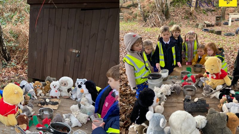 Owls Forest School Jan 12