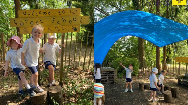 Owls at Forest School July 6th
