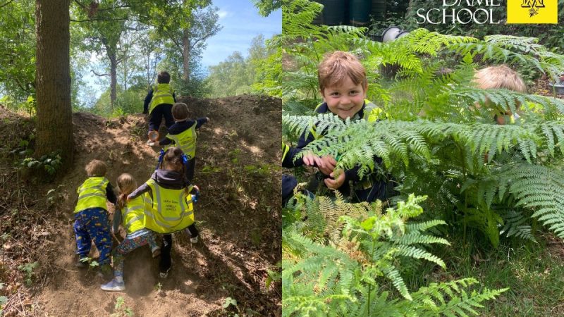 Owls Forest School June 1st (3)