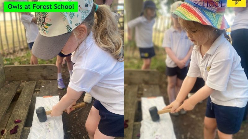 Owls Forest School June 29