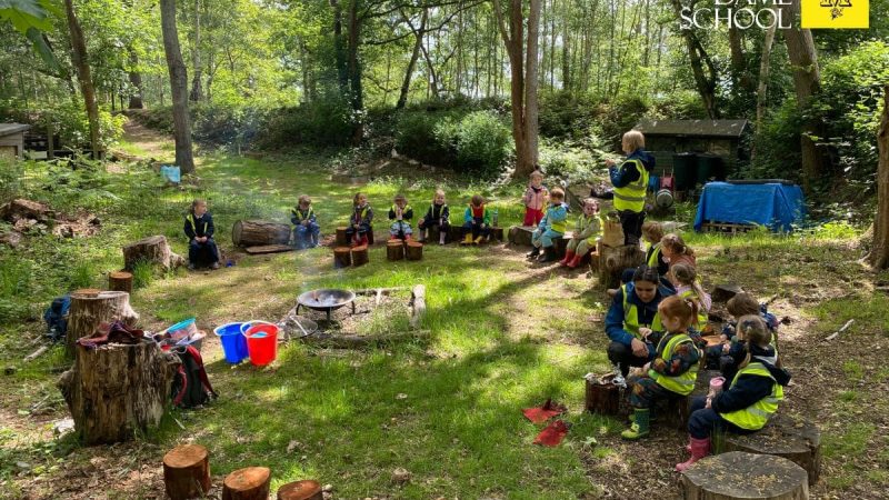 Owls Forest School May 18