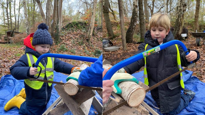 Owls at Forest School