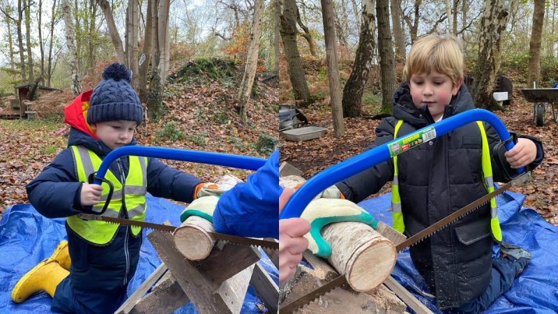 Owls at Forest School