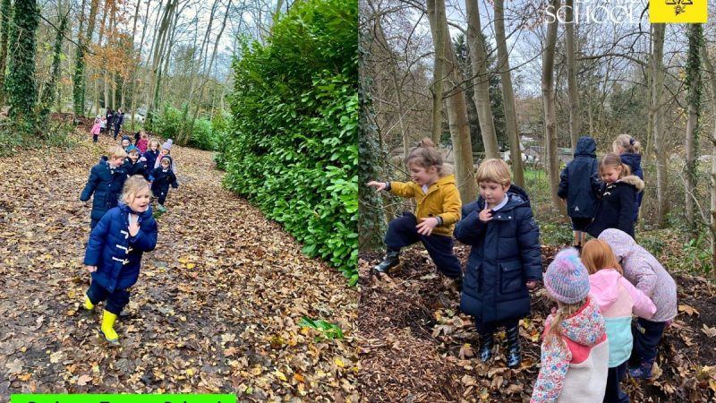 Owls at Forest School Dec 8