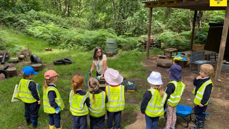 Owls at Forest School June 15
