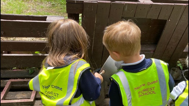 Owls at Forest School June 16