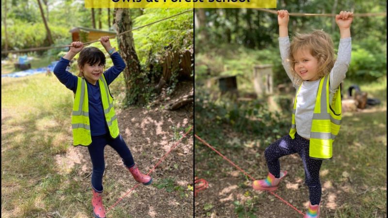 Owls at Forest School June 27