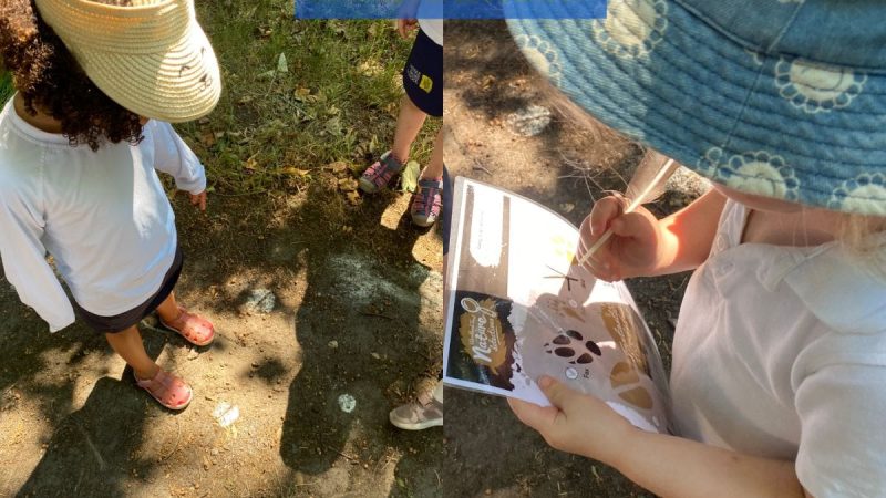 Owls at Forest School June 30