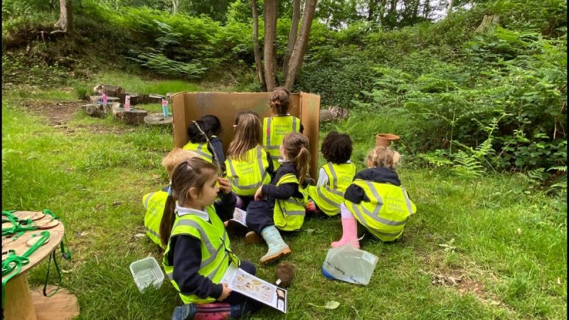 Owls at Forest School June 9