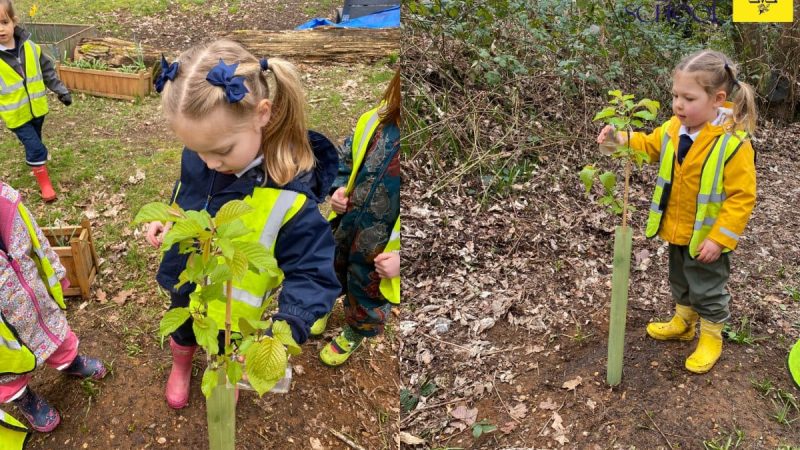 Owls at Forest School March 9